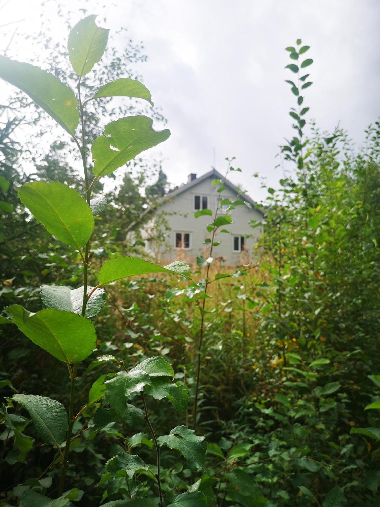 Villa Ka Stor Elvdal Koppang Luaran gambar