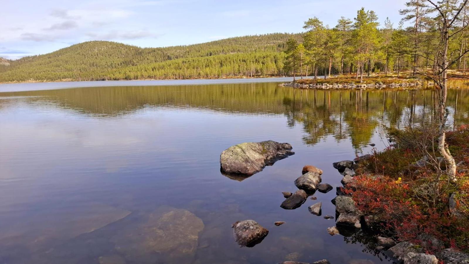 Villa Ka Stor Elvdal Koppang Luaran gambar